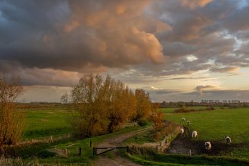 Gelderseaarde in late evening light by Gert van Eck