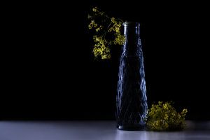 Gelbe Blüten aus dem Frauenmantel (Alchemilla) in einer dunkelblauen Glasvase vor schwarzem Hintergr