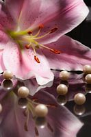 Bloemen en parels