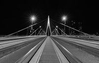 De Erasmusbrug in Rotterdam vanuit een uniek standpunt van MS Fotografie | Marc van der Stelt thumbnail