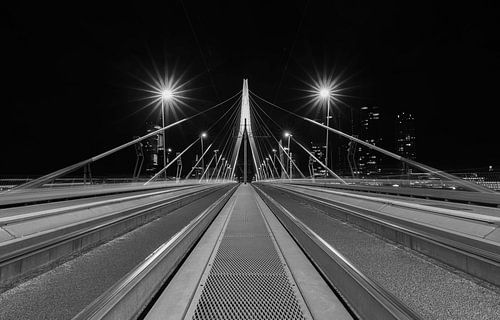 De Erasmusbrug in Rotterdam vanuit een uniek standpunt