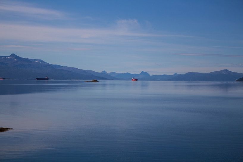 Fjord en Norvège par Joyce Schouten