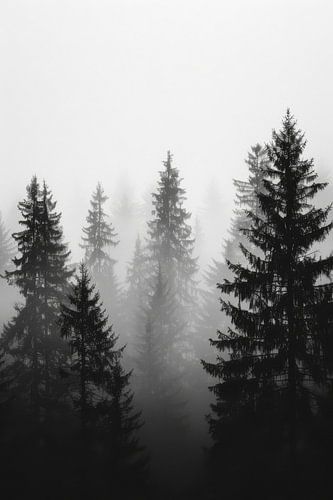 Mystical forest in the mist