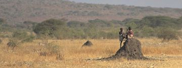 Sitting on termites