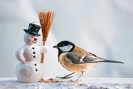 Vogel / Kohlmeise und Schneemann von Jürgen Schmittdiel Photography