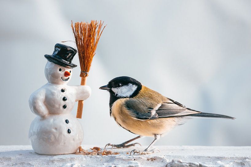 Bird / Great tit and snowman by Jürgen Schmittdiel Photography