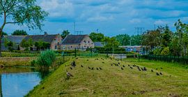 Natuurgebied Moerenburg 