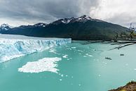 Perito Moreno gletsjer von Trudy van der Werf Miniaturansicht