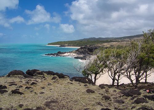 Hike along the coast