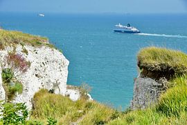 Ferry on Canal by Studio Bosgra