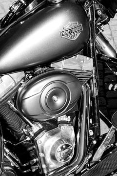 Harley-Davidson by Dieter Walther