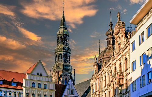 Zicht op de skyline van Zwickau in Saksen met een oude kathedraal in Oost-Duitsland