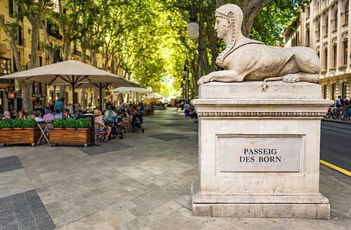 Promenade alley of Passeig des Born in city center of Palma de Majorca, Spain