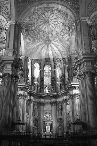 Kathedrale von Málaga 'La Manquita' | Spanien | Schwarz-Weiß-Fotografie von Laura Dijkslag