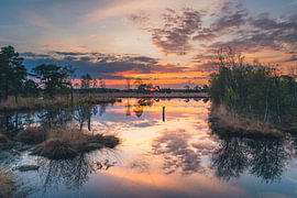 Marsh reflection by Pure Moments Photographie