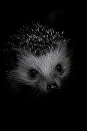 Hedgehog by Poster Art Shop