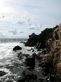 Wild and romantic coastal scenery, Kullaberg, Sweden 4