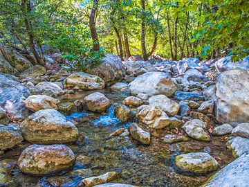 Prachtige Stromend Gokdere Rivier van Nature Life Ambience