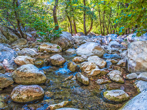 Beautiful Flowing Gokdere River