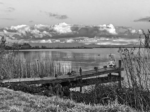 braassemermeer