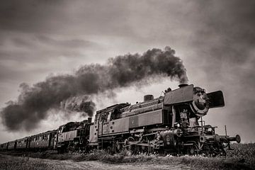 Steam locomotive driving in the countryside by Sjoerd van der Wal