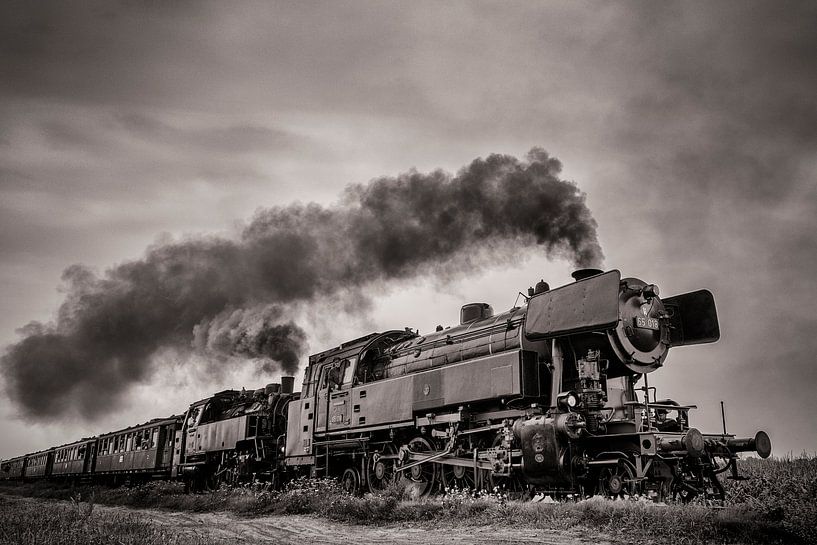 Dampflok fährt auf dem Land von Sjoerd van der Wal Fotografie