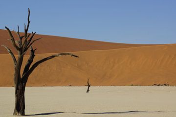 Dode bomen in Deadvlei, Namibië van Nico  Calandra