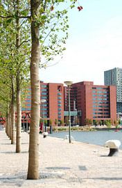 Architectuur in Rotterdam by Georgina Fotografie