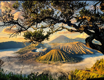 Blick auf den Sonnenaufgang am Bromo, eingerahmt von Ästen