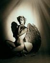 Angel 6 by Jeroen Schipper thumbnail