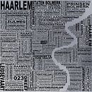 Kaart van Haarlem  van Stef van Campen thumbnail