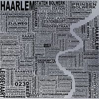 Kaart van Haarlem 