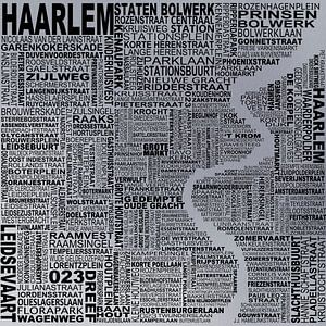 Carte de Haarlem sur Stef van Campen