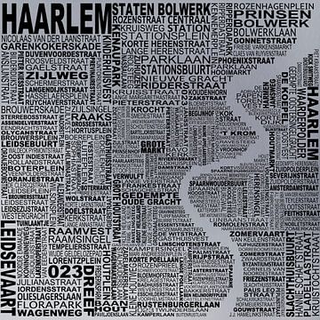 Map of Haarlem by Stef van Campen