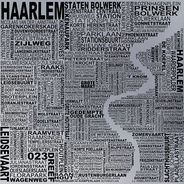 Kaart van Haarlem  van Stef van Campen