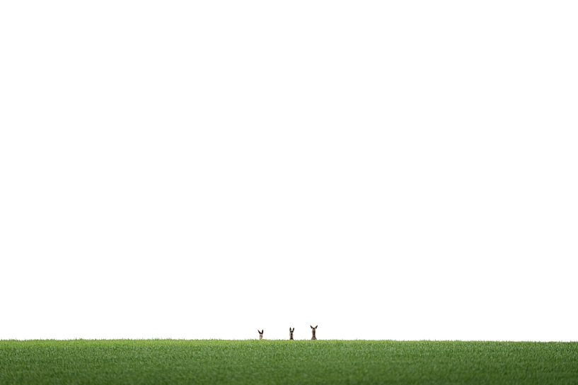 Les chevreuils font leurs adieux par Olaf Karwisch