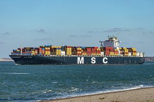 MSC Ivana containerschip van Jaap van den Berg