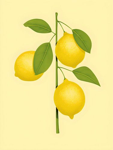 Citrus fruits