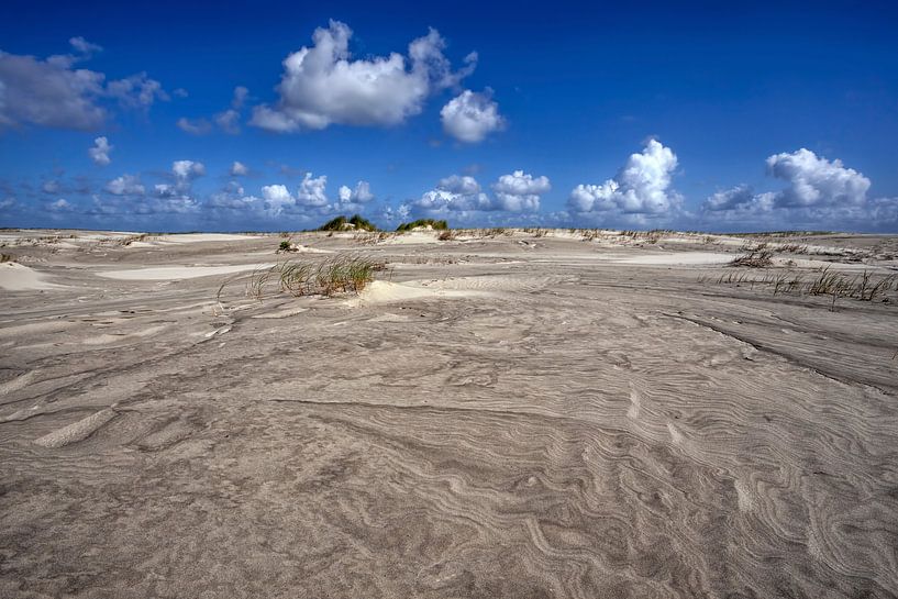 Schiermonnikoog duinen van Ron Hoefs