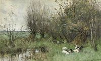 Enten in einem Weidenwald - Geo Poggenbeek von Schilders Gilde Miniaturansicht