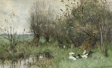 Ducks near a willow grove, Geo Poggenbeek