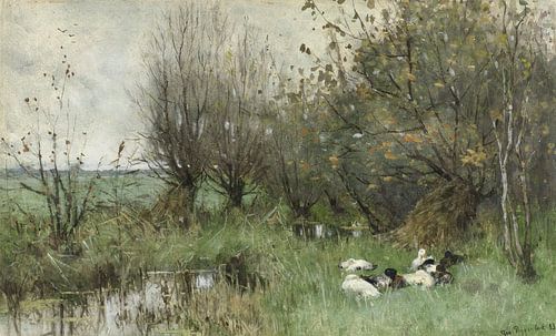 Enten in einem Weidenwald - Geo Poggenbeek