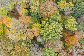 Herbstliche Farben von Elbert-Jan Achterberg