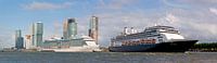 Panorama zwei Kreuzfahrtschiffe in Rotterdam von Anton de Zeeuw Miniaturansicht