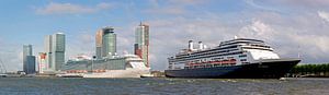 panorama 2 navires de croisière à Rotterdam sur Anton de Zeeuw