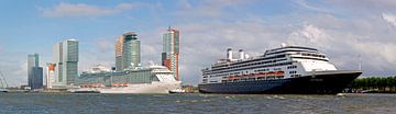 panorama 2 cruiseschepen te Rotterdam