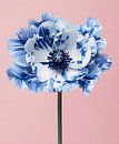 Betoverende Blauwe Bloemenpracht van But First Framing thumbnail
