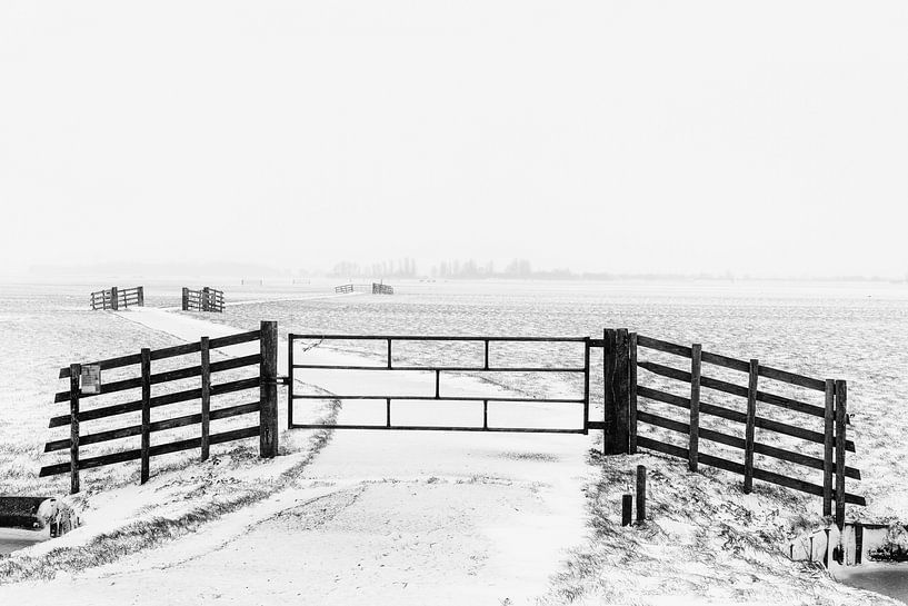 Winter in the Alblasserwaard by Beeldbank Alblasserwaard