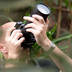 Sander Strijdhorst Profilfoto