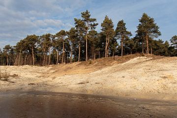 Dunes Overloon Nord-brabant  von Annemiek van Eeden